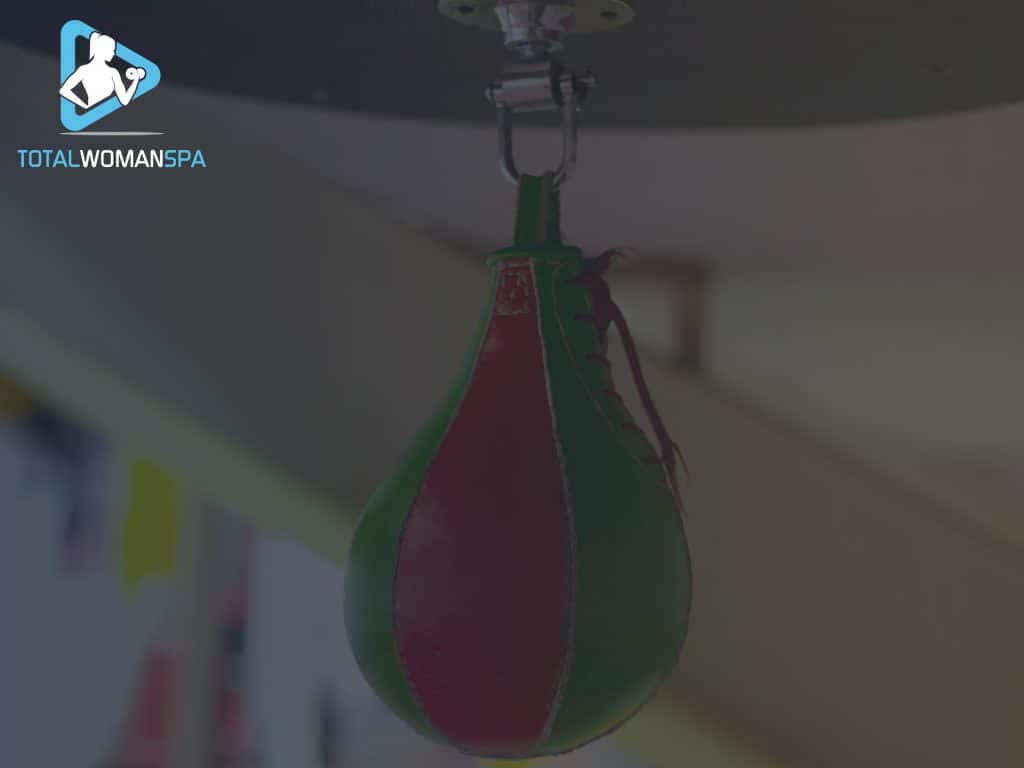 Green and Red Speed Punching Bag
